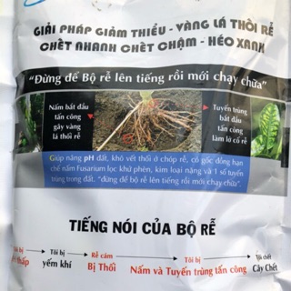 BIG SODA CHUYÊN NGỪA HÉO XANH, VÀNG LÁ THỐI  RỄ, CHẾT NHANH CHẾT CHẬM