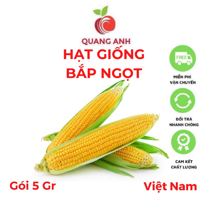[Chính hãng] Hạt Giống Bắp Ngọt (Ngô Ngọt) MV88 - Năng Suất Cao, Thơm Ngon - Gói 5gr
