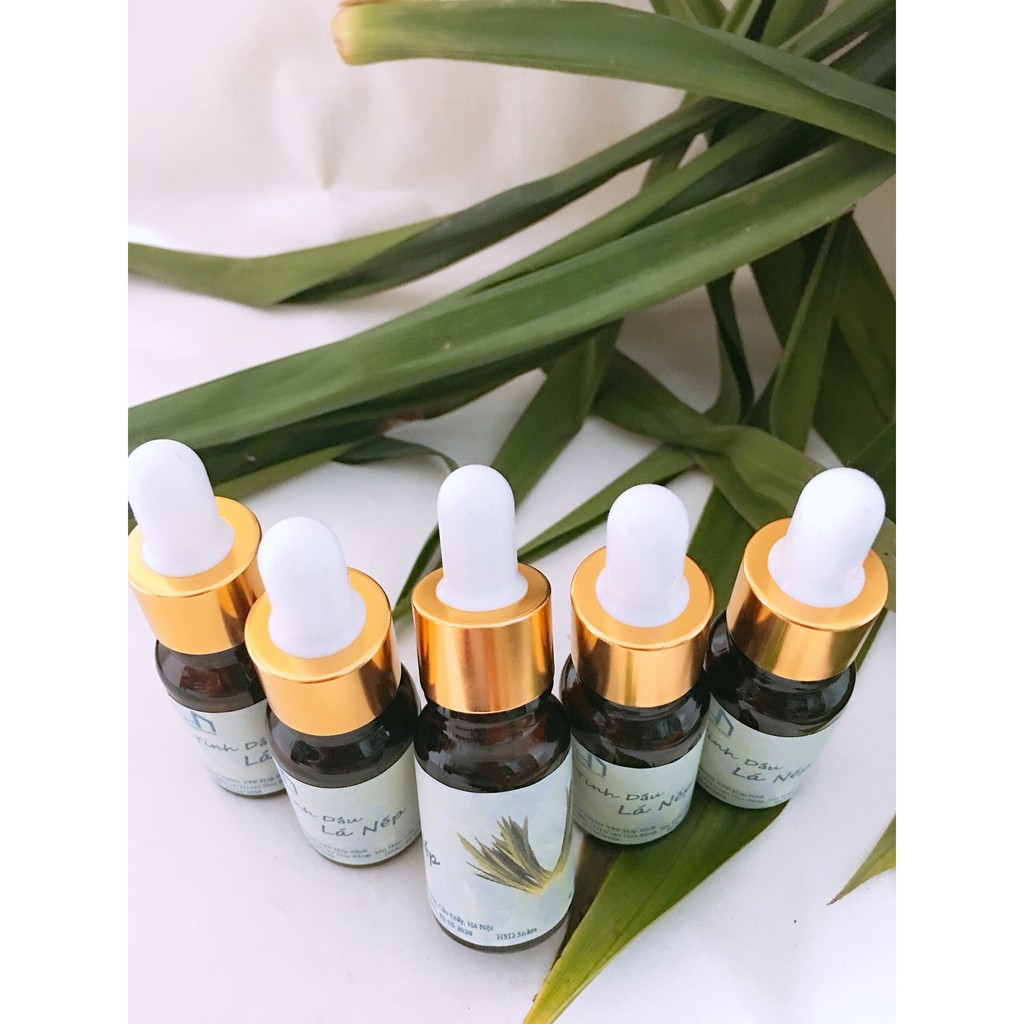 Combo 02 Lọ tinh dầu lá Nếp 10ml