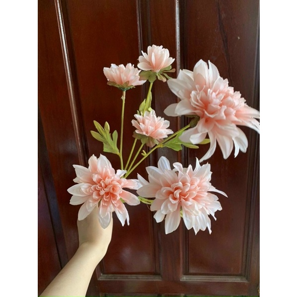 Hoa giả,hoa thược dược cao 6b