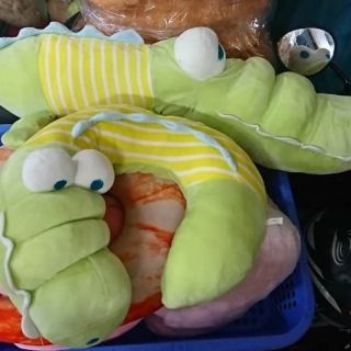 Gấu bông của hằng nguyễn