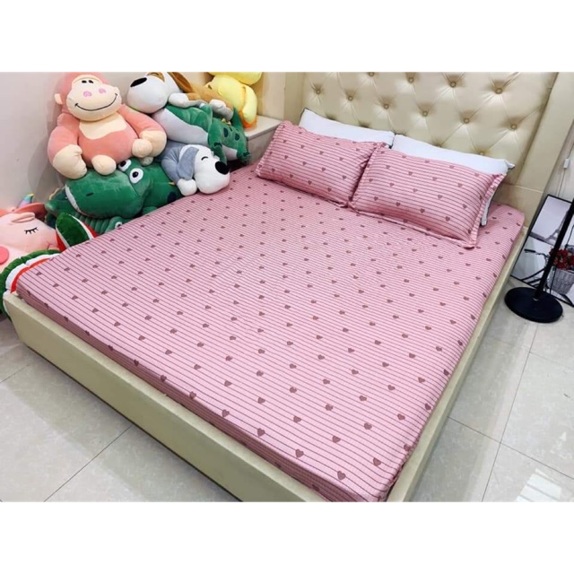 Sét 3 món ga chun cà 2 vỏ gối cottong poly