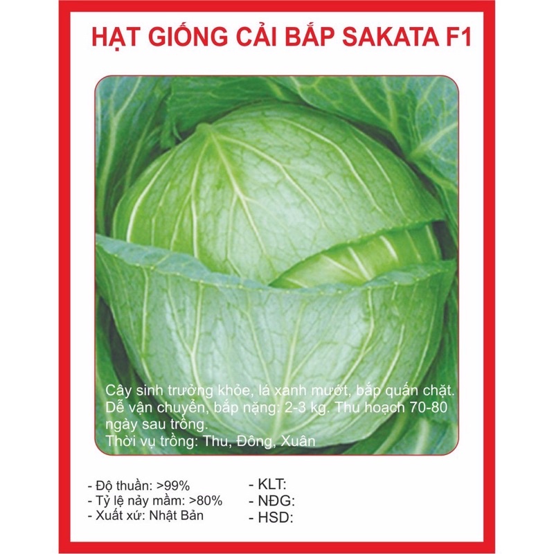 Hạt Giống Bắp Cải Nhật_ 1gram
