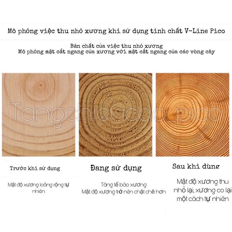 (Mua 1 tặng 10)Tinh chất Thon Gọn Mặt V-Line Pico | BigBuy360 - bigbuy360.vn