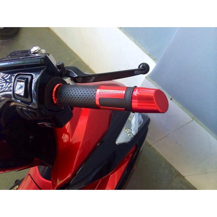 Bao tay gù Xéo Rizoma