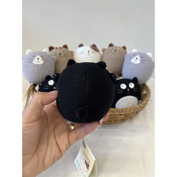 Doll mèo ú nhỏ Hikosen Cara