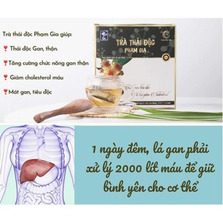 Trà thải độc Phạm Gia , Đông Y Phạm Gia