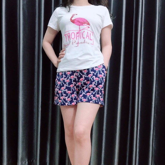 Combo 2 Bộ hồng hạc