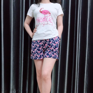Combo 2 Bộ hồng hạc