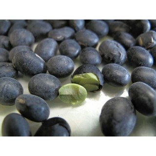 sỉ giá gốc hạt đỗ đen xanh lòng 500g - 1kg