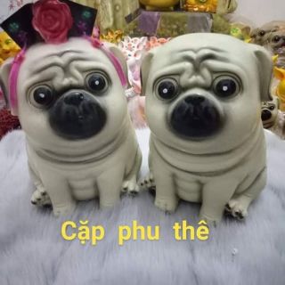 Cặp Phu thê