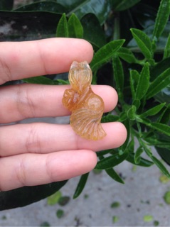 Hồ ly tóc dáng xoè