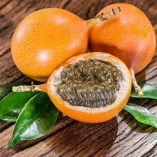 Cây giống chanh leo columbia  6 tháng có trái