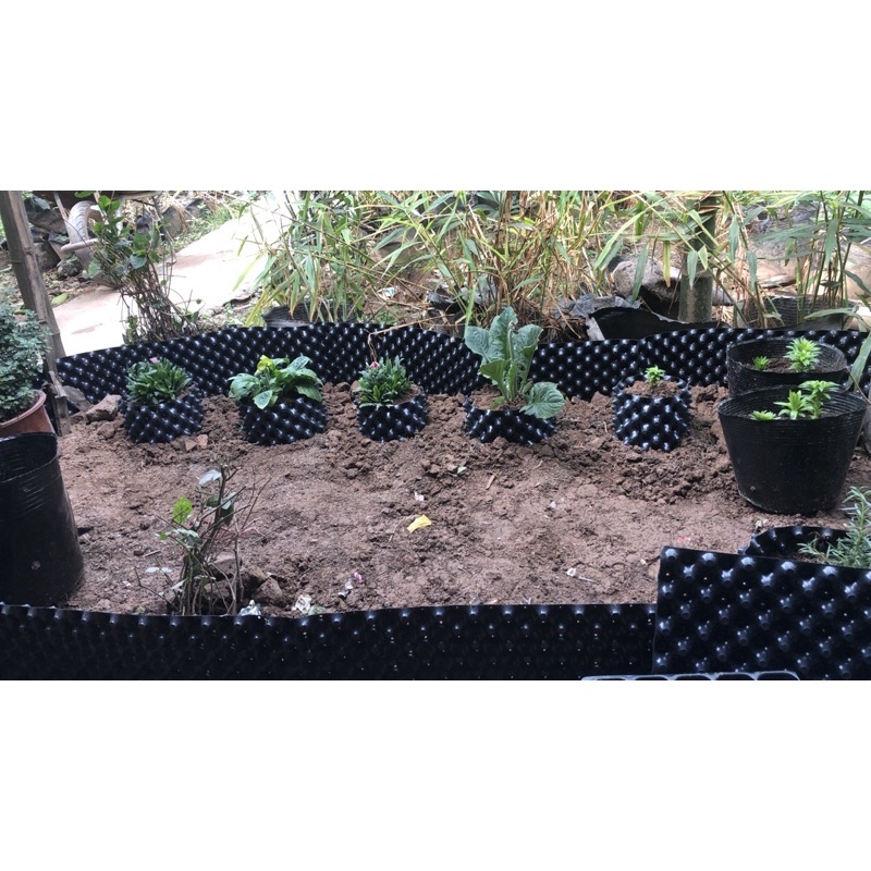 50m bầu v6 cao 20cm( dày 0,6mm) có tặng kèm ốc vít