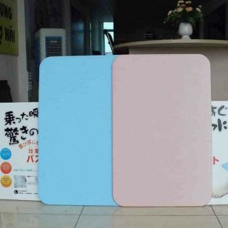 ( siêu rẻ) Thảm đá lau chân cao cấp Nhật Bản