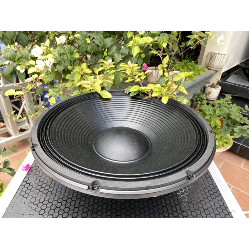 Bass 40 từ neo