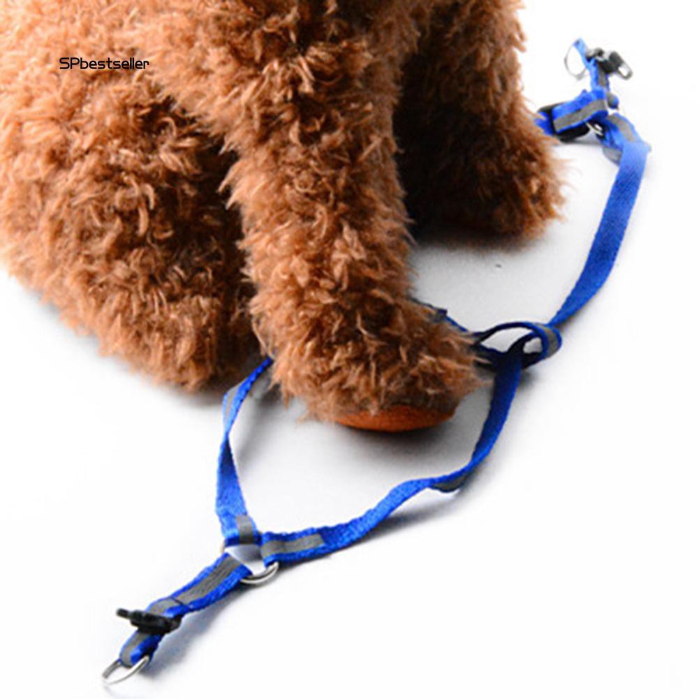 Dây đeo dắt thú cưng đi dạo thoải mái