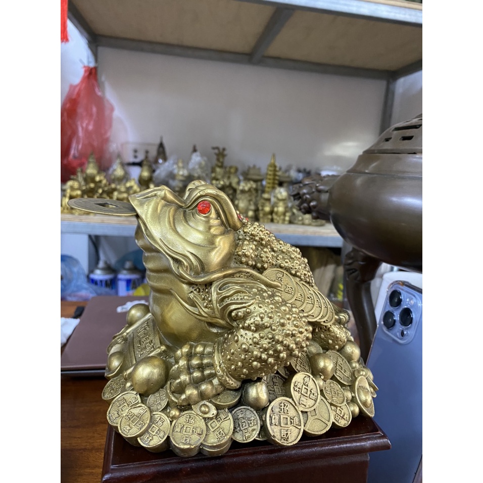 Cóc ngậm tiền
