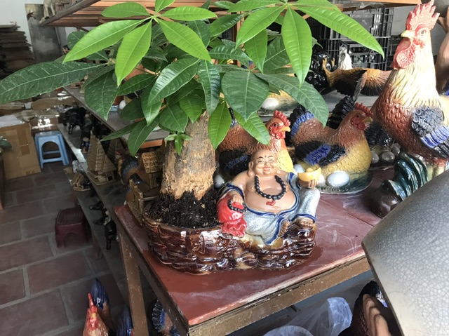 Chậu trồng cây Di Lạc