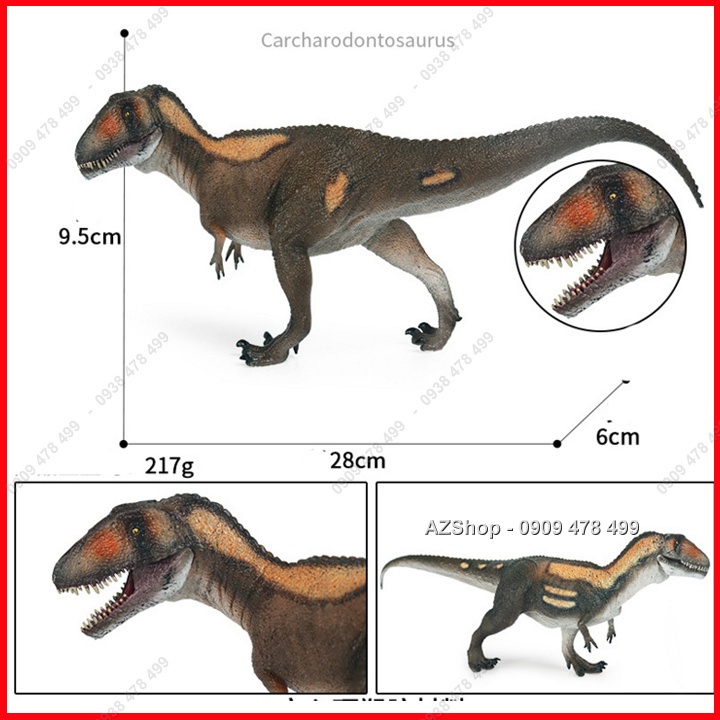 Mô Hình Khủng Long Ăn Thịt Carcharodontosaurus - Mẫu B