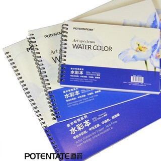 Sketchbook Canson 300g Vân Rough Vẽ Màu Nước Potentate Cao Cấp - 16 Tờ - Hoa Xanh