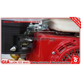 Máy Nổ Động Cơ Xăng Yokohama 5.5hp