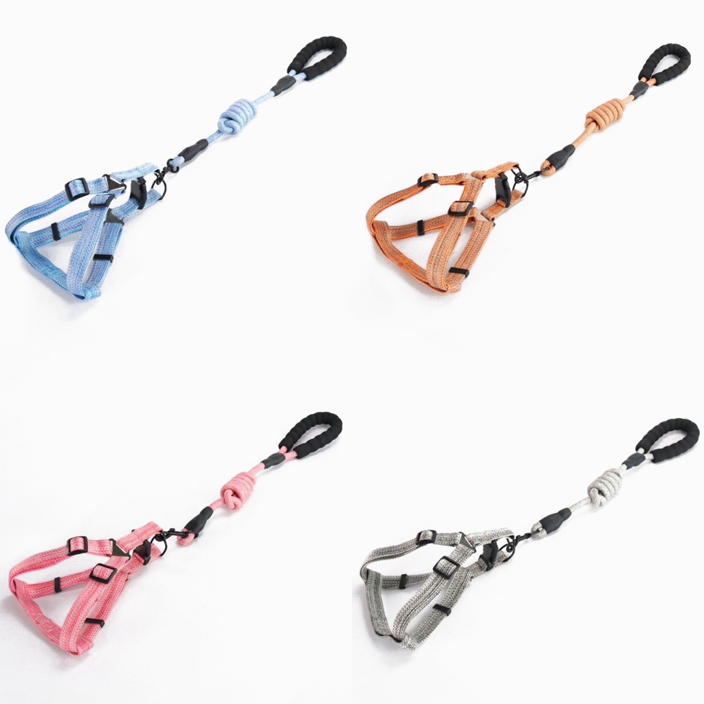Dây Đeo Cổ Dắt Thú Cưng Đi Dạo Nhiều Màu Sắc