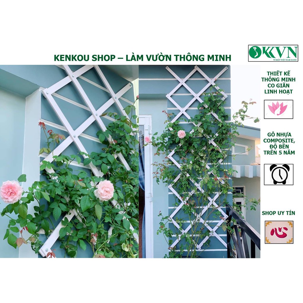 Shop Kenkou_Combo 2 Giàn leo hoa quả trám co giãn đa năng nhựa composite