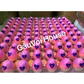 Trứng Hatchimals (cân nặng 2kg)