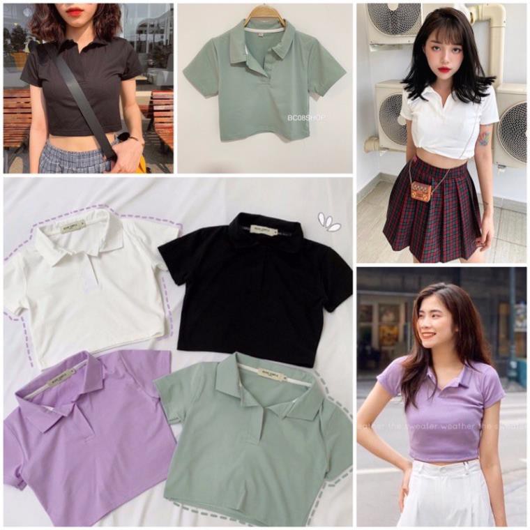 Hè [HÀNG BÁN SHOP] Áo croptop nữ Polo cổ bẻ, dáng ôm nhẹ chất cotton co dãn thoáng mát. 🏆