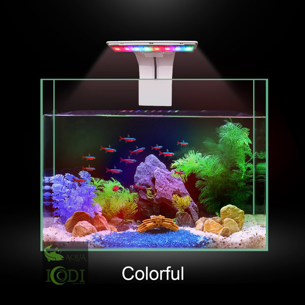 ĐÈN BỂ CÁ KẸP THÀNH BỂ RGB M-180