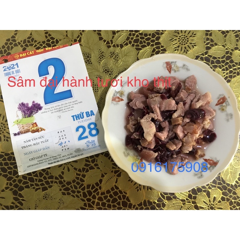 Sâm đại hành Đà lạt