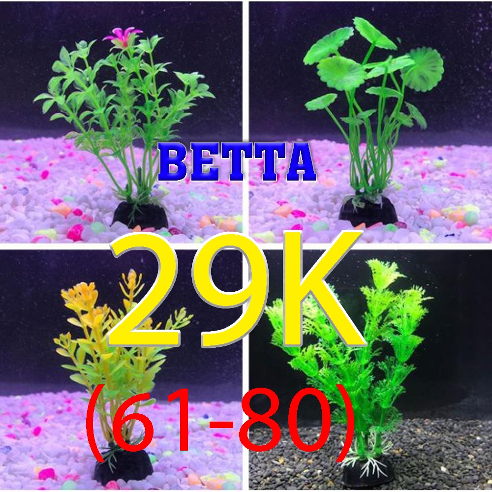 Cây trang trí Betta đồng giá 29k (61-80)