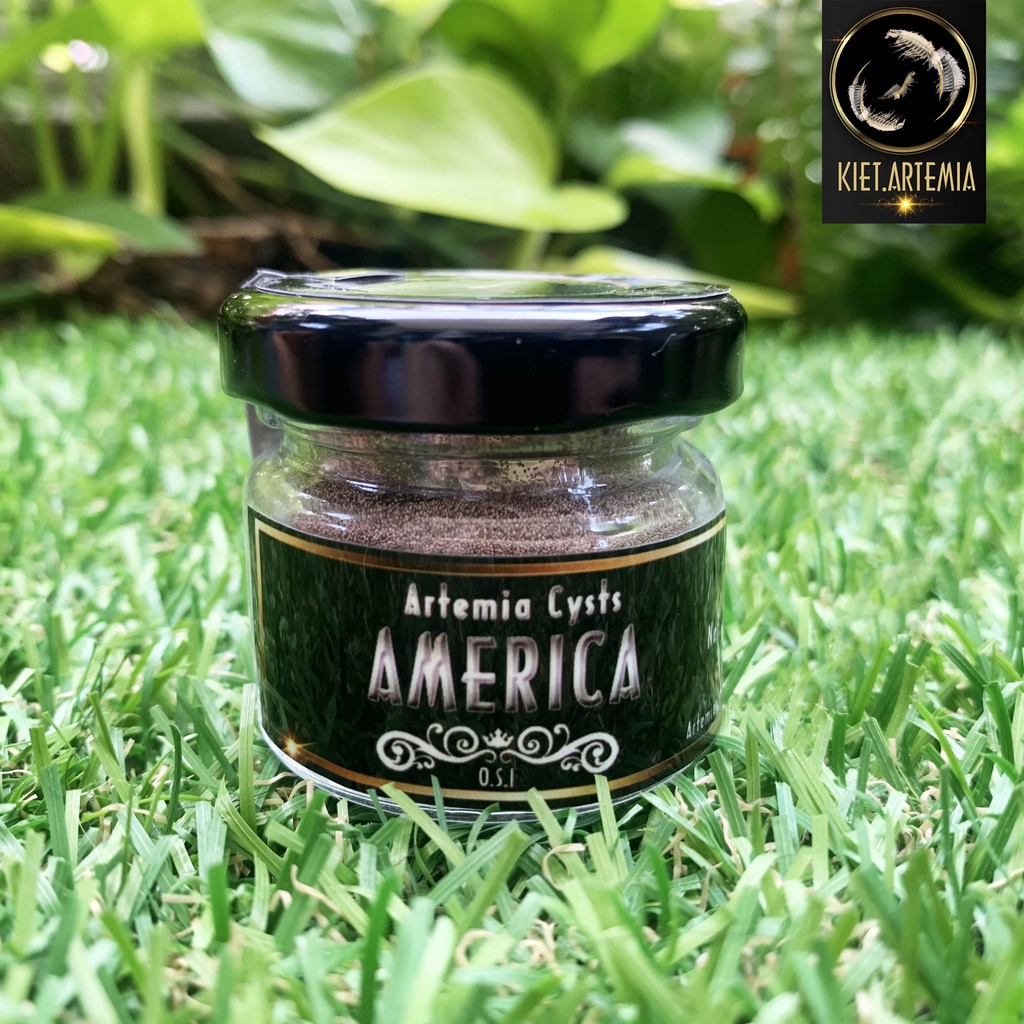 Trứng Artemia Mỹ Loại 1, Tỉ Lệ Cao Ngang Artemia Vĩnh Châu