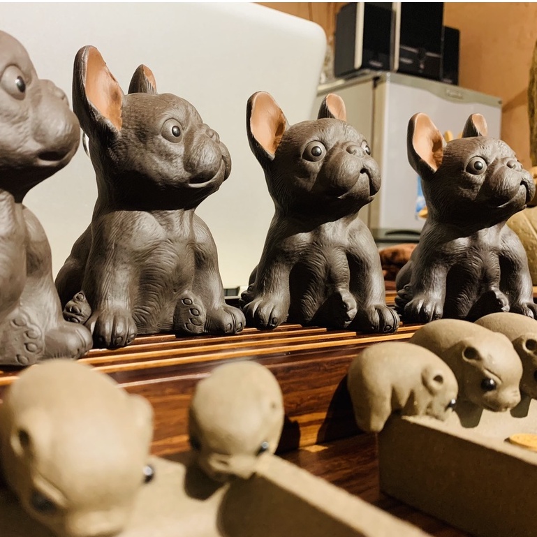 Pet bull tử sa đặt bàn trà