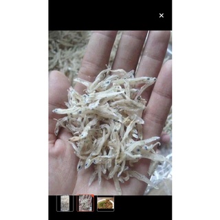 CÁ MỜM CƠM KHÔ - CÁ CƠM- CÁ CƠM SỮA- CÁ CƠM TRẮNG [ loại đặc biệt] trọng lượng 500g