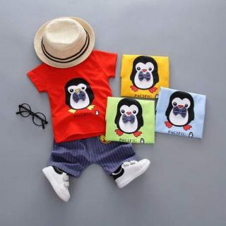 Bộ cotton chim cánh cụt