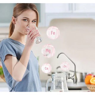 Máy lọc nước Pentair Everpure PBS-400