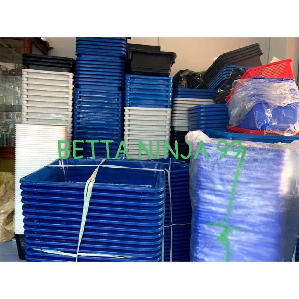 KHAY NHỰA 65X45X16