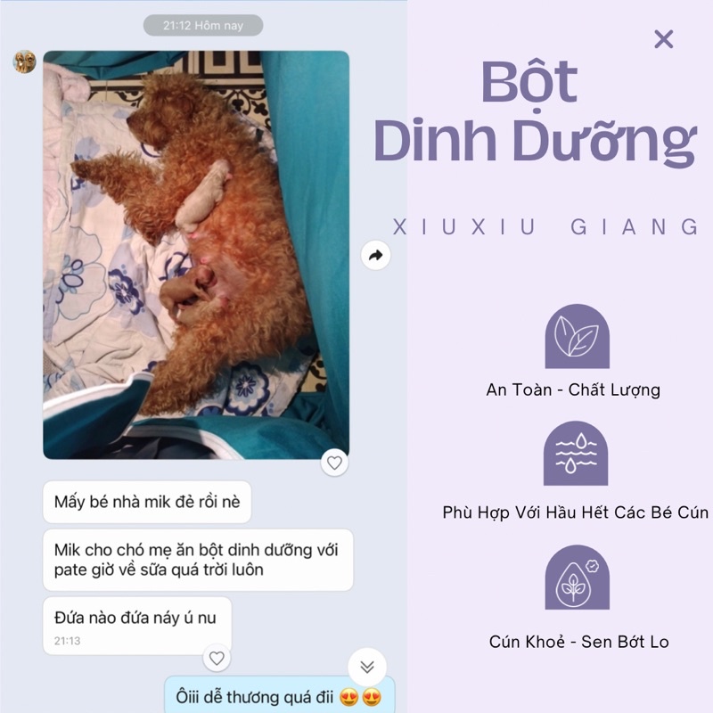 Thức Ăn Dinh Dưỡng Cho Chó - Xiuxiu Giang