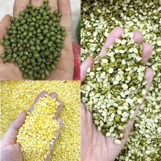 1kg Đậu xanh hột, nữa hột , dâu xanh cà