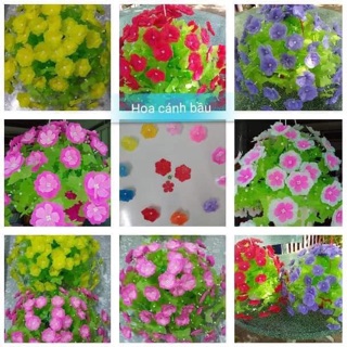 Hoa giấy lụa sale
