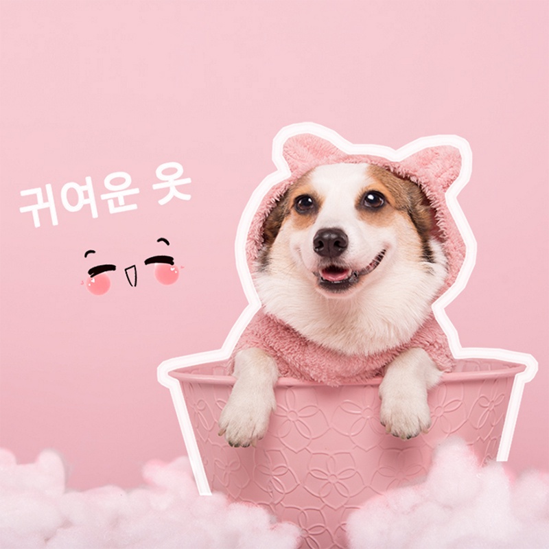Áo Thun Áo Nỉ Cho Thú Cưng Mèo Chó Họa Tiết Đáng Yêu Dễ Thương