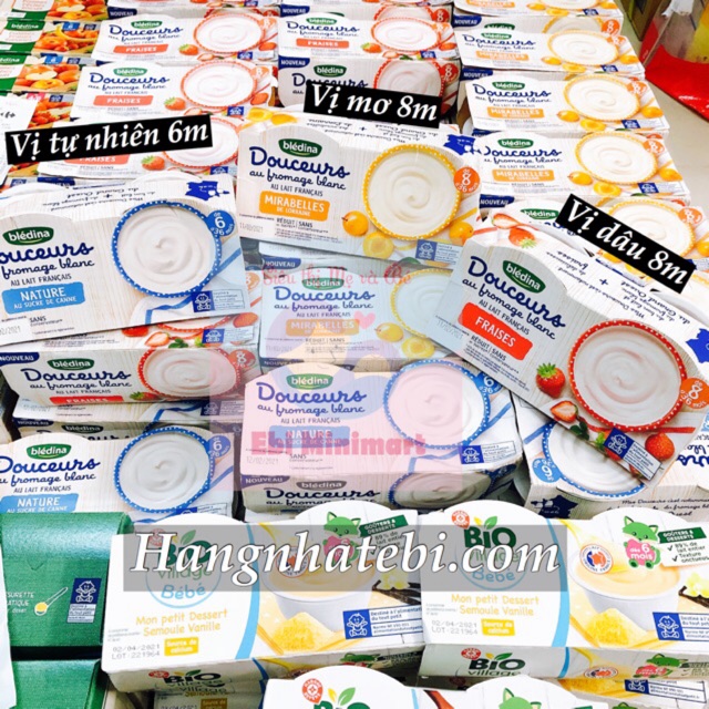 SỮA CHUA PHÔ MAI BLEDINA PHÁP
