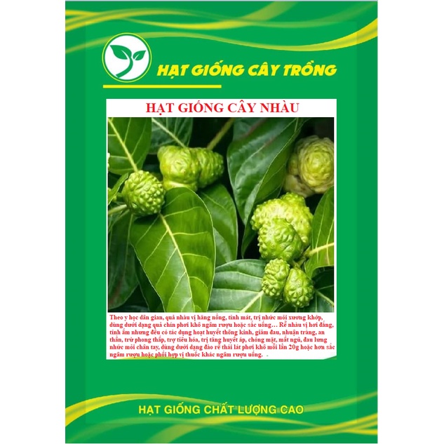 Hạt giống cây nhàu  KNS3726 - Gói 50 hạt