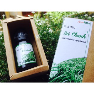 Tinh dầu cô đặc nguyên chất DK Pharma