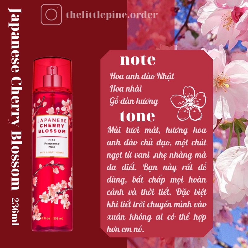 Body mist Xịt thơm Janpan Cherry Blossom 236ml Sang Trọng, Ngọt Ngào, Cá Tính