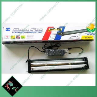 Đèn odyssea dual pro - t5ho