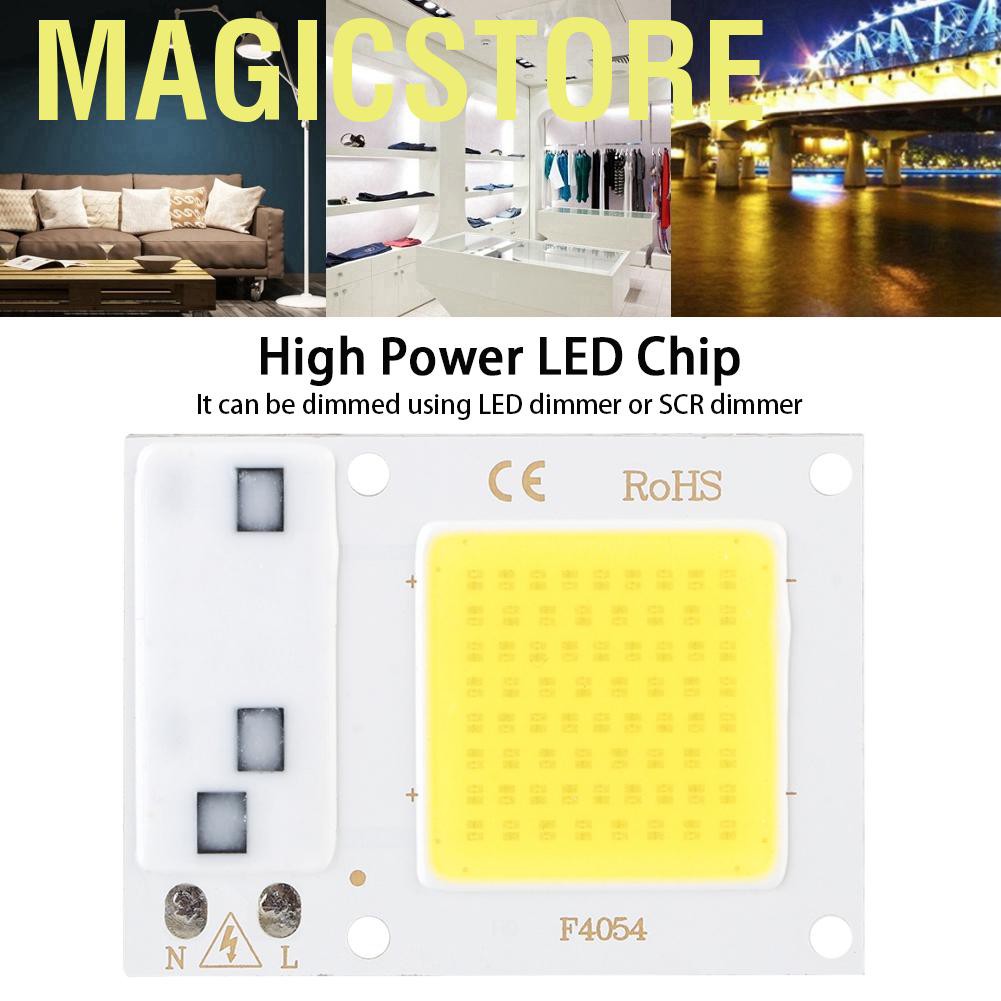 Chip Đèn Led Sân Vườn Ánh Sáng Trắng Cao Cấp