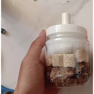 Lọc vi sinh chế cho bể cá